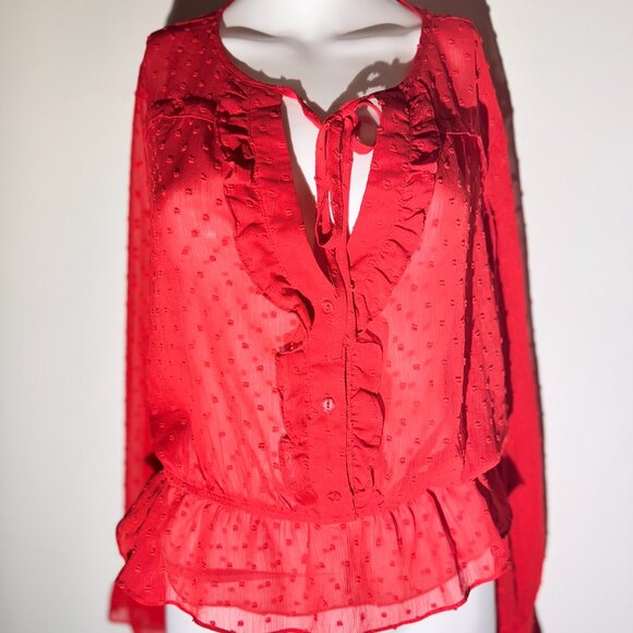 This LUSH red long sleeve blouse features a romantic Swiss dot texture and light - Picture 2 of 11